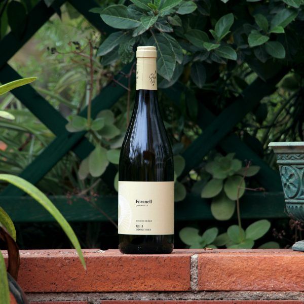 El vi blanc Foranell Cupatge