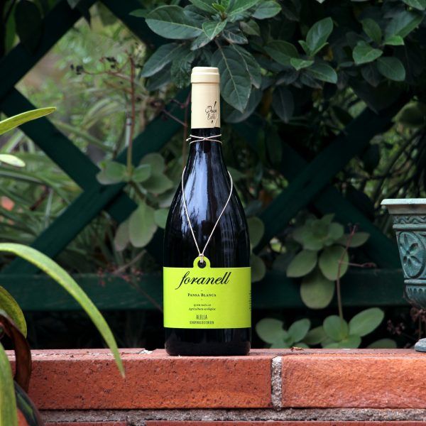El vi blanc Foranell Pansa Blanca