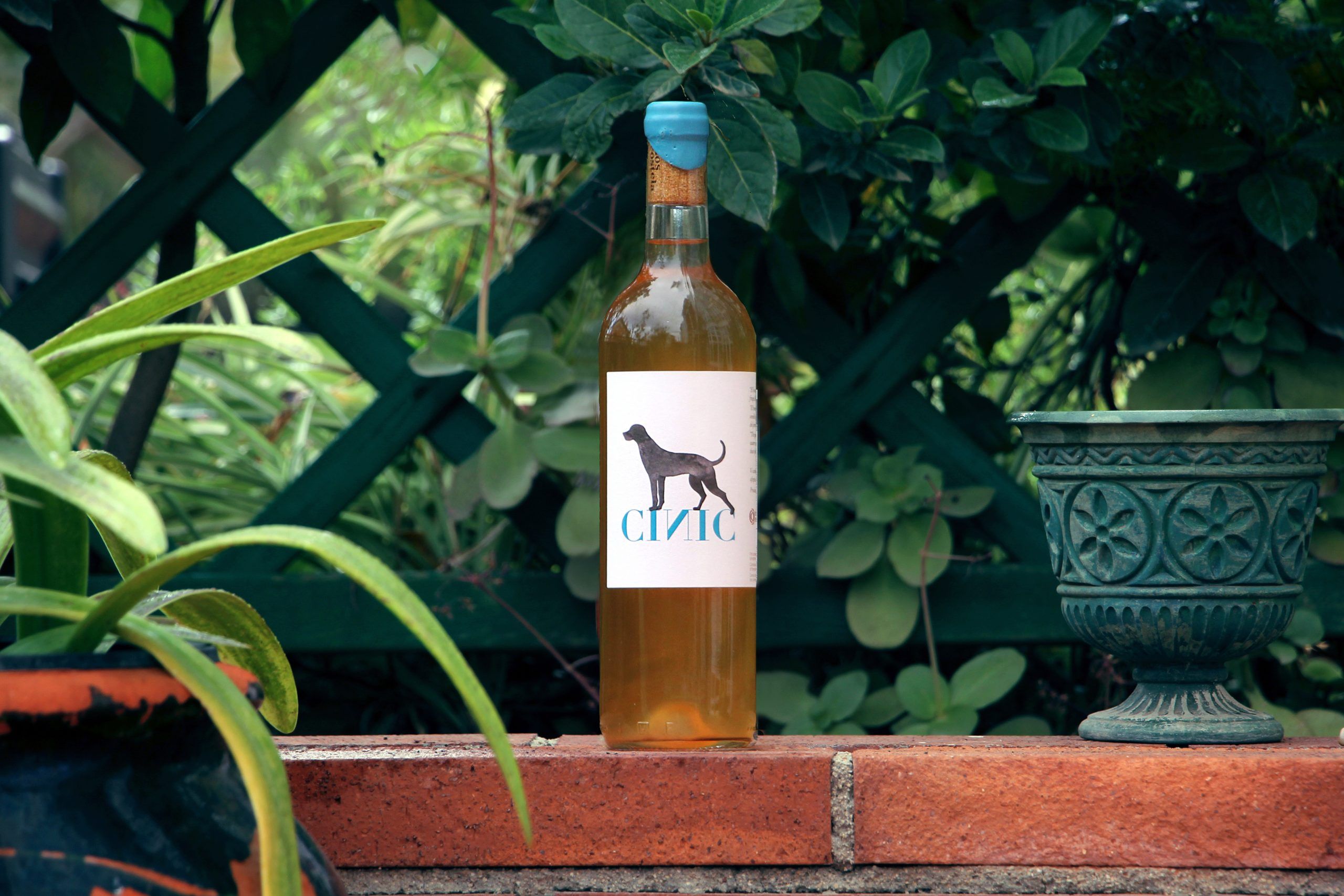 IMG_4681b El vi claret Cínic