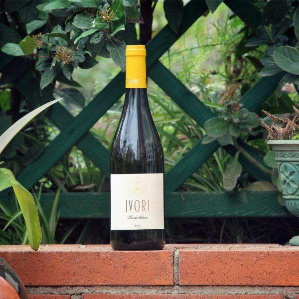 El vi blanc Ivori
