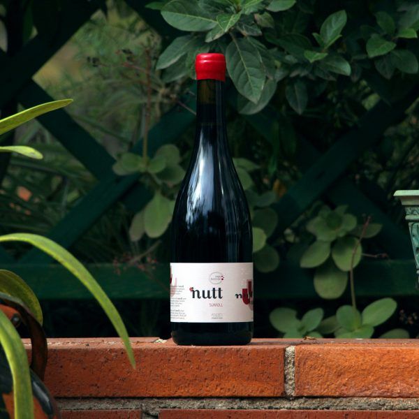 El vi Nutt Sumoll de Mas Bertran