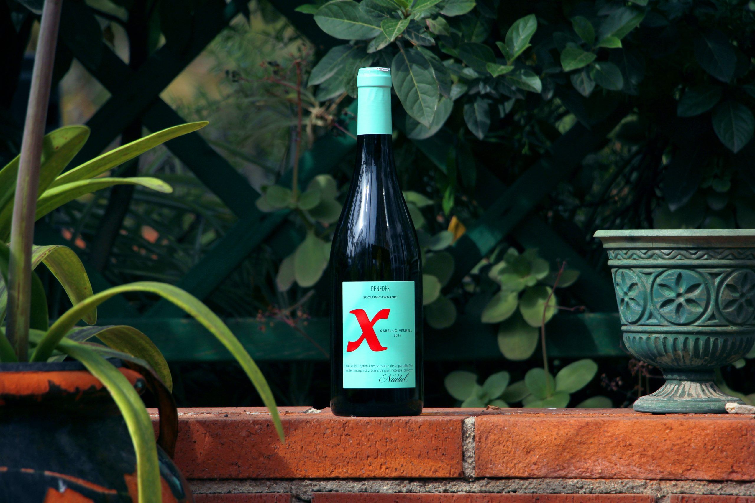 X Vermell Nadal El vi blanc de Xarel·lo Vermell de Nadal